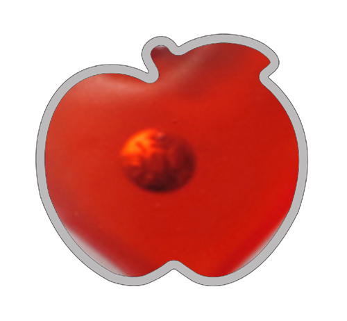 apple heat pack